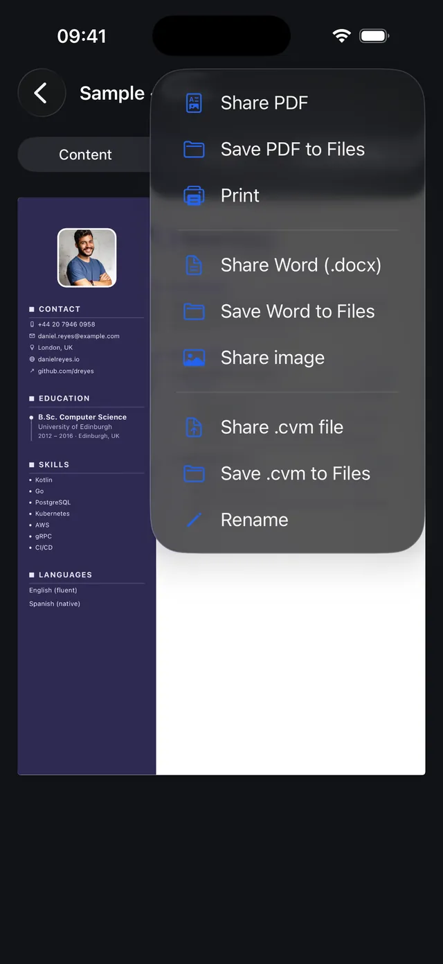 The export menu on iPhone with PDF, Word, image and .cvm options