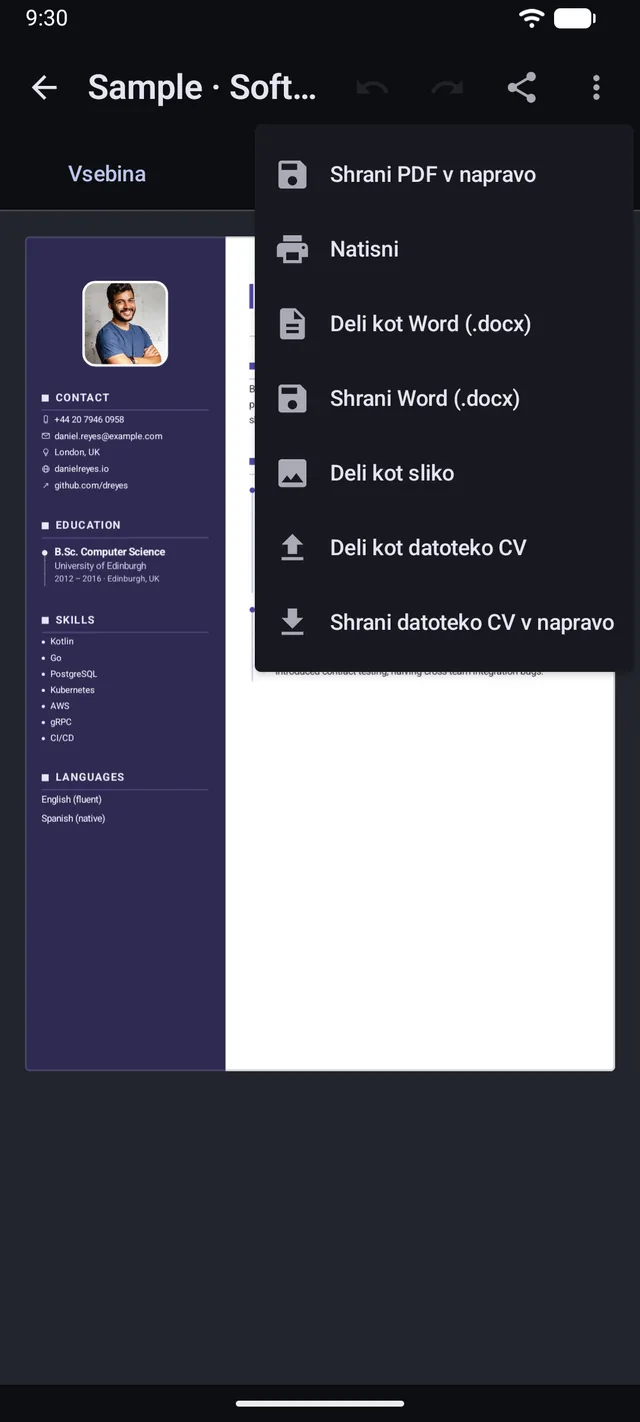 Meni za izvoz z možnostmi PDF, Word .docx, slika in prenosna datoteka CV